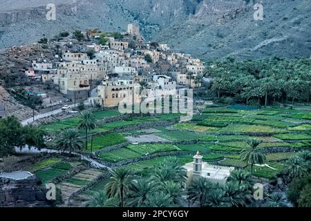 Das schöne Oasendorf bald Sayt (Balad Sayt), die westlichen Hajar Berge, Ash Sharaf, Oman Stockfoto