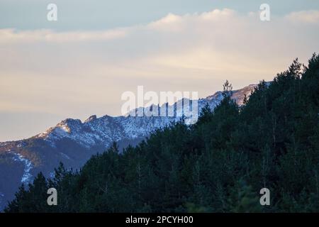 Schneebedeckte Berge mit Wald im Vordergrund und bewölktem Himmel bei Sonnenaufgang Stockfoto