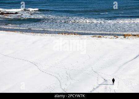 Cullen Bay Golfplatz Moray Schottland Fußspuren im Schnee und ein einsamer Wanderer im Winter Stockfoto