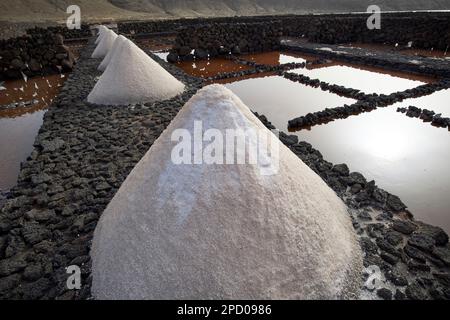 Salzhaufen, die für die Tour aus den letzten Tanks in salinas de janubio Salzebenen auf Lanzarote, Kanarische Inseln, Spanien, gesammelt wurden Stockfoto