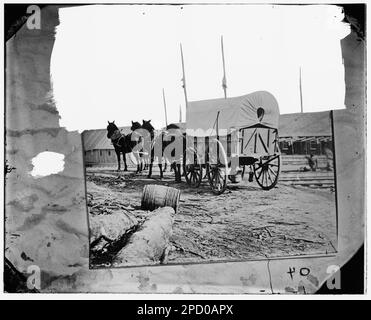 City Point, Virginia (in der Nähe). Vier-Maultier-Armeeteam und Wagen. Bürgerkriegsfotos, 1861-1865. Usa, Geschichte, Bürgerkrieg, 1861-1865. Stockfoto