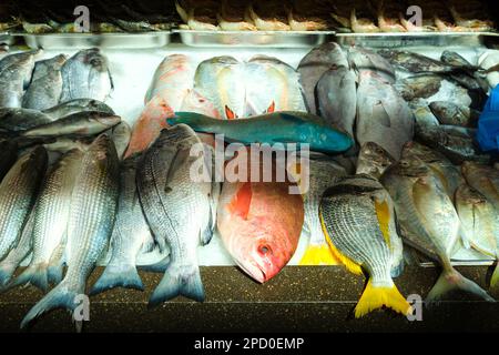 Sonnenlicht auf dem Fischmarkt in Abu Dhabi, VAE, Vereinigte Arabische Emirate. Stockfoto