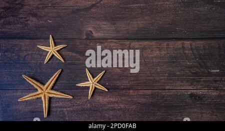 Seesterne. Nautischer Sommerhintergrund - Sterne auf Holzhintergrund Stockfoto