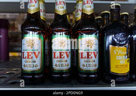 Tyumen, Russland-25. Februar 2023: Leichtes Bier in der tschechischen Brauerei Mestansky pivovar im Lew-Stil Stockfoto