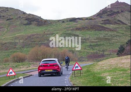 Kalt und bewölkt im Holyrood Park, Edinburgh, Schottland, Großbritannien. 14. März 2023 Temperatur von 5 Grad Celsius mit Windkälte, die ein echtes Gefühl von 0 Grad vermittelt. Abbildung: Auto und Fahrrad passieren Warnschilder für Kröten auf der Straße und erwarten ihre jährliche Wanderung vom Hügel auf Arthur's Seat hinunter zum Dunsapie Loch, einer von drei Lochs im Holyrood Park Credit: Archwhite/alamy Live News. Stockfoto