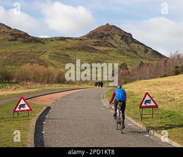 Kalt und bewölkt im Holyrood Park, Edinburgh, Schottland, Großbritannien. 14. März 2023 Temperatur von 5 Grad Celsius mit Windkälte, die ein echtes Gefühl von 0 Grad vermittelt. Abbildung: Ein Radfahrer in einem sonnigen Zauber, der ein Warnschild für Kröten auf der Straße vorbeifährt und deren jährliche Wanderung vom Hügel auf Arthur's Seat zum Dunsapie Loch voraussieht, einer von drei Loches im Holyrood Park Credit: Archwhite/alamy Live News. Stockfoto