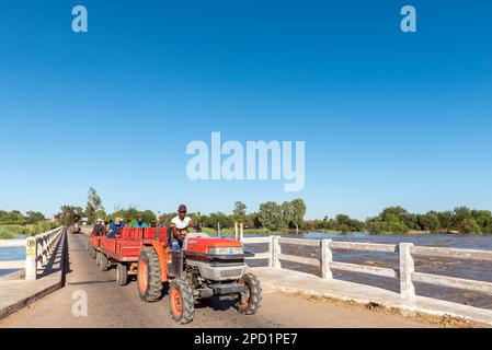 Marchand, Südafrika – Februar 28 2023: Traktor und Anhänger mit Traubenpflückern und -Kisten, die einen Teil des überfluteten Orange River in Marchand überqueren Stockfoto