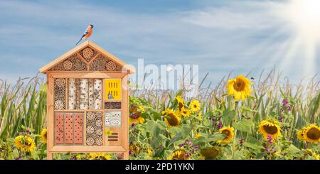 Wunderschönes Insektenhotel mit Vögeln, fliegenden Schmetterlingen und Bienen vor blühenden Sonnenblumen Stockfoto