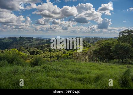 Die wunderschöne Aussicht von der Spitze des Mount Mowbullan in den Bunya Mountains, Queensland, Australien, wie im Jahr 2013 zu sehen. Stockfoto