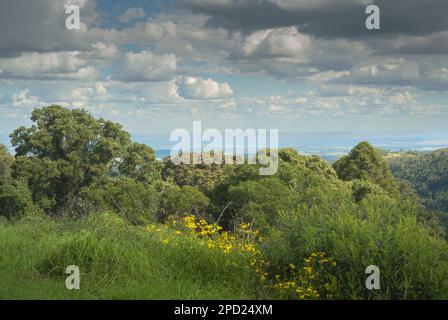 Die wunderschöne Aussicht von der Spitze des Mount Mowbullan in den Bunya Mountains, Queensland, Australien, wie im Jahr 2013 zu sehen. Stockfoto