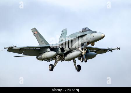 Royal Canadian Air Force (RCAF) McDonnell Douglas CF-18 Hornet-Kampfflugzeug von der 425. Staffel, rollend auf die Landebahn des Leeuwarden Air Base, The Ne Stockfoto