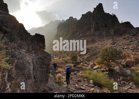 Blick durch die Naqad Gulley, Jabal Ffied, Al-Sharat Gegend von Jordanien, Naher Osten Stockfoto