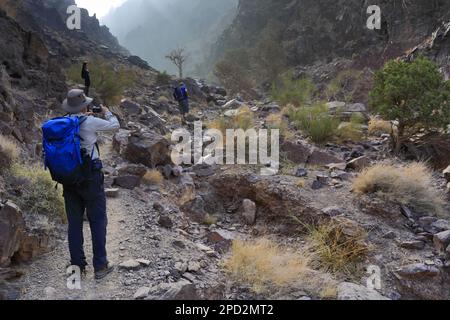 Walkers im Naqad Gulley, Jabal Ffied, Al-Sharat-Gebiet in Jordanien, Naher Osten Stockfoto