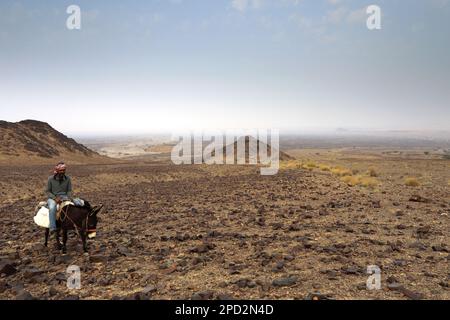 Traditioneller Beduinen-Hirte in Wadi Barwas, Wadi Araba Wüste, Südmittjordanien, Naher Osten Stockfoto