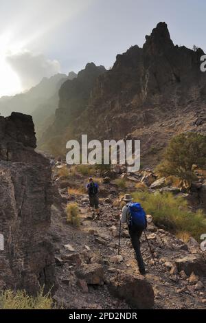 Blick durch die Naqad Gulley, Jabal Ffied, Al-Sharat Gegend von Jordanien, Naher Osten Stockfoto