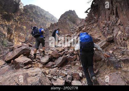 Walkers im Naqad Gulley, Jabal Ffied, Al-Sharat-Gebiet in Jordanien, Naher Osten Stockfoto