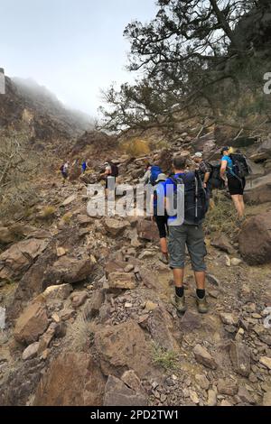 Walkers im Naqad Gulley, Jabal Ffied, Al-Sharat-Gebiet in Jordanien, Naher Osten Stockfoto