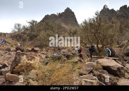 Walkers im Naqad Gulley, Jabal Ffied, Al-Sharat-Gebiet in Jordanien, Naher Osten Stockfoto