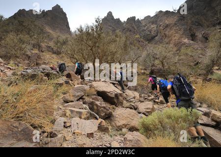 Walkers im Naqad Gulley, Jabal Ffied, Al-Sharat-Gebiet in Jordanien, Naher Osten Stockfoto