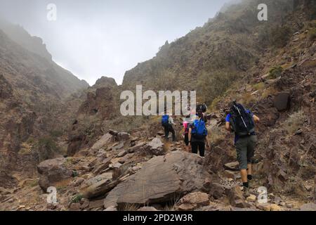 Walkers im Naqad Gulley, Jabal Ffied, Al-Sharat-Gebiet in Jordanien, Naher Osten Stockfoto