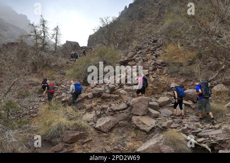 Walkers im Naqad Gulley, Jabal Ffied, Al-Sharat-Gebiet in Jordanien, Naher Osten Stockfoto