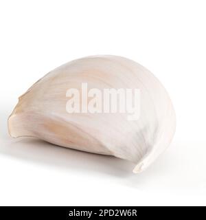 Weiße Knoblauchzehe 3D-Darstellung isoliert auf weißem Hintergrund Stockfoto
