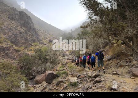 Walkers im Naqad Gulley, Jabal Ffied, Al-Sharat-Gebiet in Jordanien, Naher Osten Stockfoto