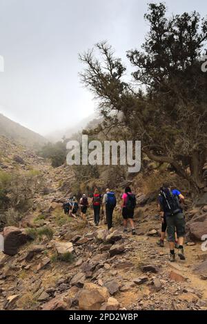 Walkers im Naqad Gulley, Jabal Ffied, Al-Sharat-Gebiet in Jordanien, Naher Osten Stockfoto