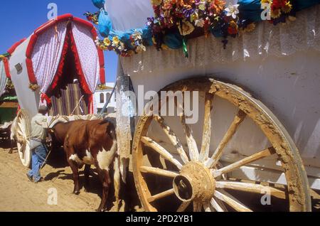 Pilger in der Nähe des Dorfes Rocio, Romeria del Rocio, Pilger auf dem Weg durch den Nationalpark Doñana, Pilgerfahrt der Bruderschaft Triana nach El Rocío, Stockfoto