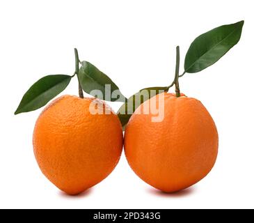 Zwei süße Orangen, isoliert auf weißem Hintergrund Stockfoto
