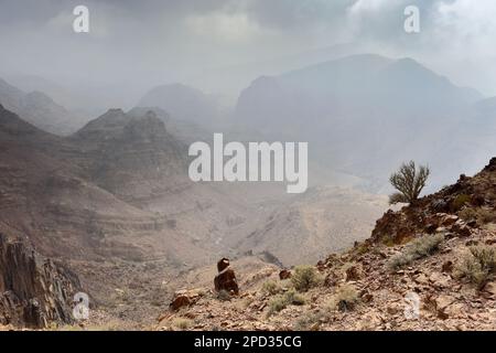 Landschaft über Naqib Shadyed auf dem Gipfel von Naqad Gulley, Jabal fied, Al-Sharat-Gebiet in Jordanien, Naher Osten Stockfoto