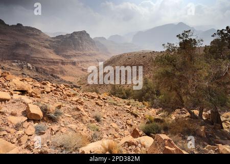 Landschaft über Naqib Shadyed auf dem Gipfel von Naqad Gulley, Jabal fied, Al-Sharat-Gebiet in Jordanien, Naher Osten Stockfoto