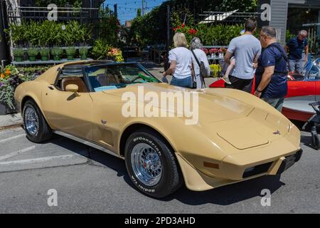 Burlington, ON, Kanada 9. Juli 2022: Chevrolet Corvette (C2) in Burlington Car Show. Erste Autoausstellung nach dem COVID19-km-Ausbremsen. Stockfoto