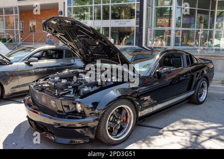Burlington, ON, Kanada - 9. Juli 2022: Eine Ford Shelby Cobra GT SC nimmt an der Burlington Car Show Teil. Stockfoto