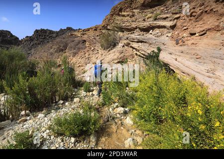 Walkers auf dem Jordan Trail in Wadi Feid, Jabal Ffied, Al-Sharat in Jordanien, Naher Osten Stockfoto