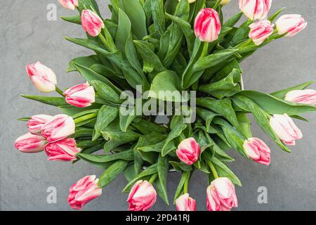 Strauß frischer rosafarbener Tulpen auf grauem Steinbetonhintergrund. Festliches Konzept für Muttertag oder Valentinstag. Grußkarte, Osterfest, ha Stockfoto