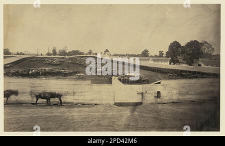 Giesboro, M.D., 1864. Alternativer Titel aus veröffentlichter Quelle: Giesboro Stables; Juli 1865, Titel aus item, Veröffentlicht in: Russell's Civil war Photos : 116 historische Drucke / von Andrew J. Russell ; mit einem Vorwort von Joe Buberger und Matthew Isenberg. New York : Dover Publications, c1982, No 77. Stables, Washington (D.C.), 1860-1870, Military Depots, Washington (D.C.), 1860-1870, Usa, Geschichte, Bürgerkrieg, 1861-1865, Militärische Einrichtungen, Union. Stockfoto