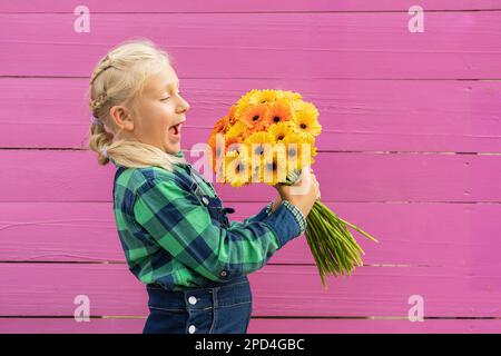 Eine Frau, die einen Haufen Frühlingsblumen hält und riecht, gekleidet in blauer Kleidung vor pinkfarbenem Holzhintergrund Stockfoto