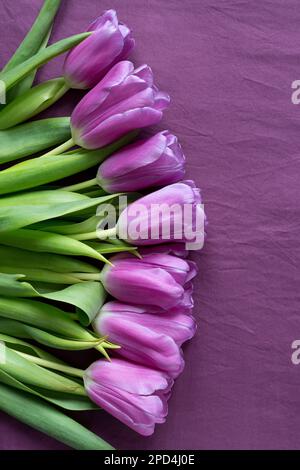 Lila Tulpen auf violettem Textilhintergrund. Frühlingsblumen in Lila-Farbe. Schließen. Stockfoto