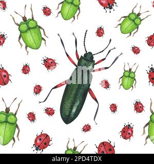 Nahtloses Muster realistische Käfer-Insekten isoliert auf weißem Hintergrund. Aquarell handgezeichnete Tierkäfer Coleoptera Llustration für Design-Banner, p Stockfoto