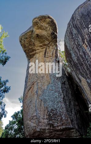 09 12 2007 Cobra Hood Cave Rock, Lion Rock, Sigiriya, Sri Lanka Asien. Stockfoto