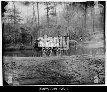 Virginia. Ein Maultier-Team überquert einen Bach. Bürgerkriegsfotos, 1861-1865. Usa, Geschichte, Bürgerkrieg, 1861-1865. Stockfoto