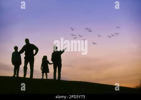 Silhouette einer vierköpfigen Familie, die eine Schar Vögel beim Summer Sunset Sensor 123 beobachtet Stockfoto