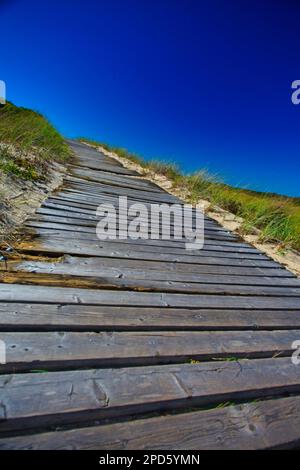 Eine Promenade über die Dünen auf Martha's Vineyard Stockfoto