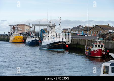 Am Hafen in der Stadt Amble, Northumberland, Großbritannien, liegen Boote vor. Stockfoto