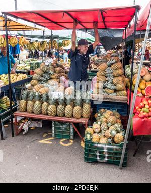 Lächelnder Mann an seinem Stand, der Ananas (Ananas comosus) auf einem Bauernmarkt in Costa Rica verkauft. Stockfoto