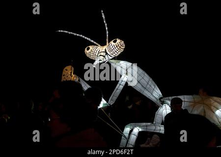 Burning of the Clock Parade, 21. Dezember 2022 - Brighton & Hove, East Sussex, Großbritannien Stockfoto