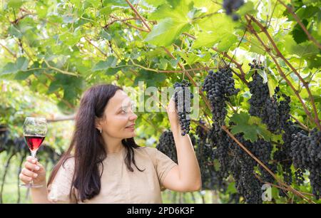 Wunderschöne Frau träumt von Rotwein und genießt den Sommeraufenthalt in Weinbergen an einem schönen sonnigen Tag. Eine Frau, die Rotwein trinkt. Erntesaison. Hochwertiges Foto Stockfoto