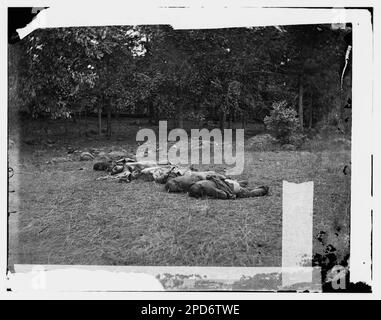 Gettysburg, Pennsylvania. Konföderierte tot, Blick am Rand der Rosenwälder, 5. Juli 1863. Bürgerkriegsfotos, 1861-1865. Usa, Geschichte, Bürgerkrieg, 1861-1865. Stockfoto