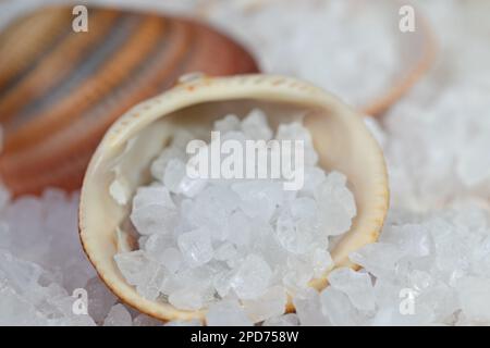 Meersalz in der Nahaufnahme Stockfoto